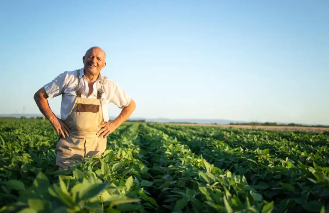 O Crescimento e Impacto do Mercado Agro no Brasil